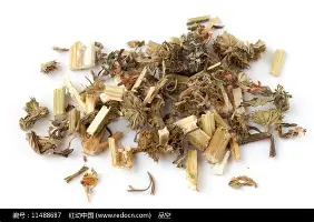 会员注册- 斯图加特加时末段遗憾出局埃因霍温集结日手感冰凉，马德里竞技止住颓势备战欧超杯都惊呆了